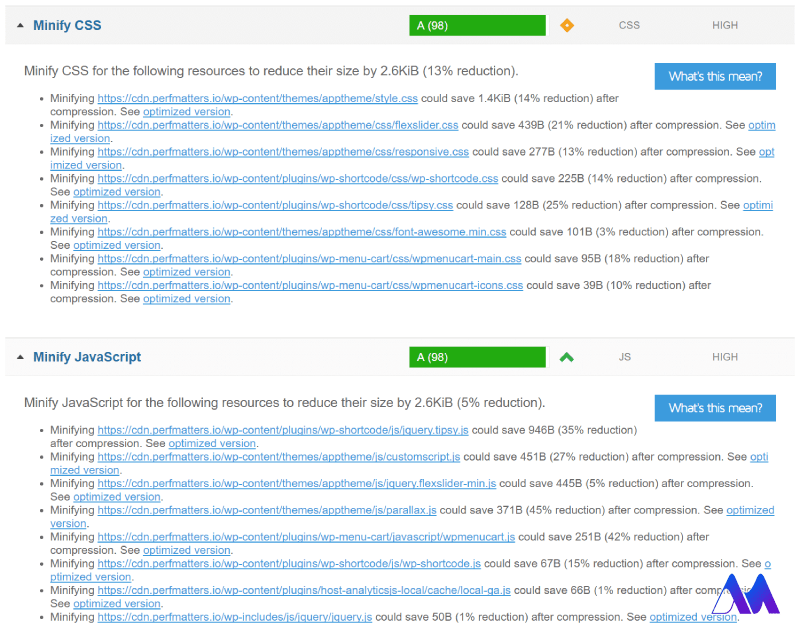 Minify CSS and JavaScript-  سرعت سایت در جی تی متریکس