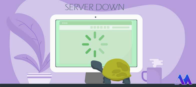 Down شدن سرور- دلایل ایجاد خطای  503 در المنتور