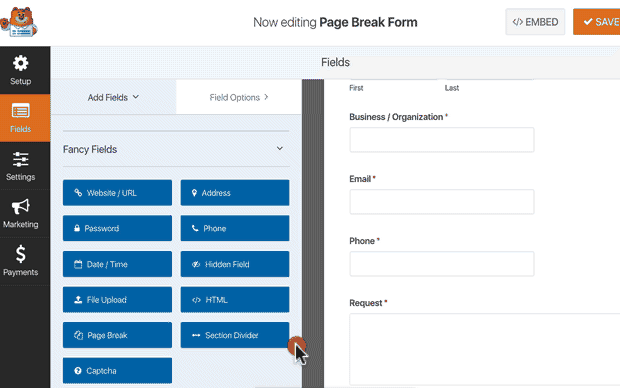 فیلد Page Break را در فرم خود وارد کنید